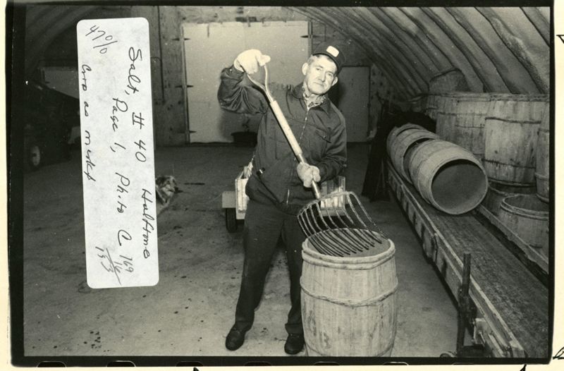 Aroostook Potato Farmer Photographs