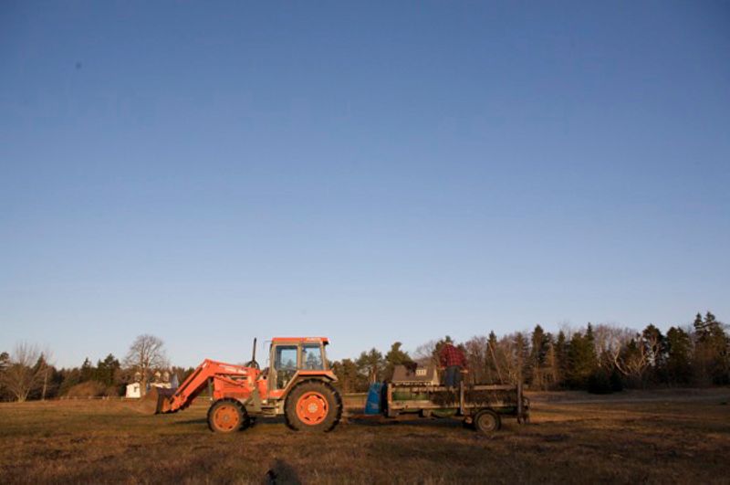 Dreaming Farming Dreams