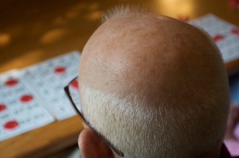 Getting Old is for the Birds