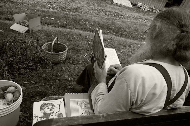 The Scatterseed Project