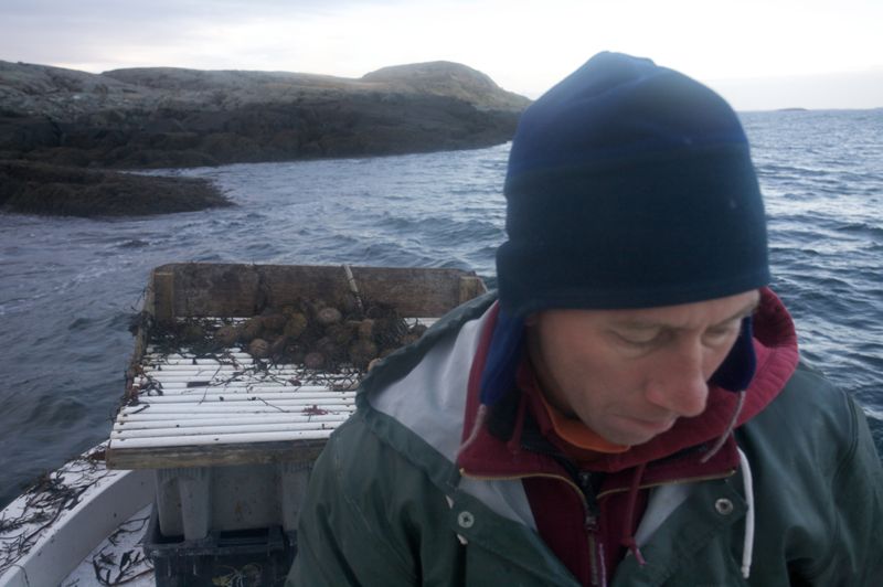 Beautiful, Dangerous Work