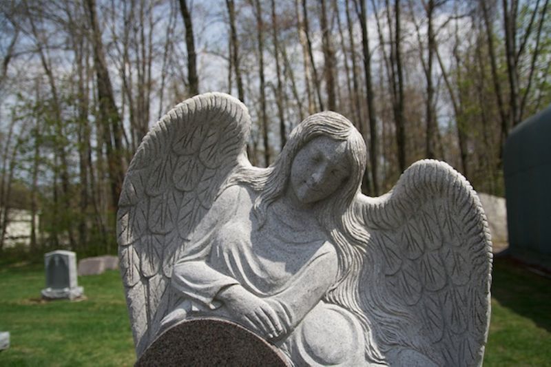 He'll Always Get the Last Word In Photographs