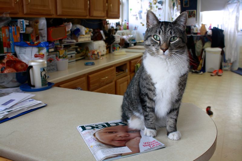 Birth Plan Photographs