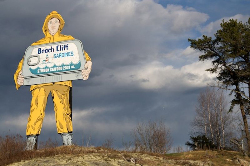 The Last American Sardine Company