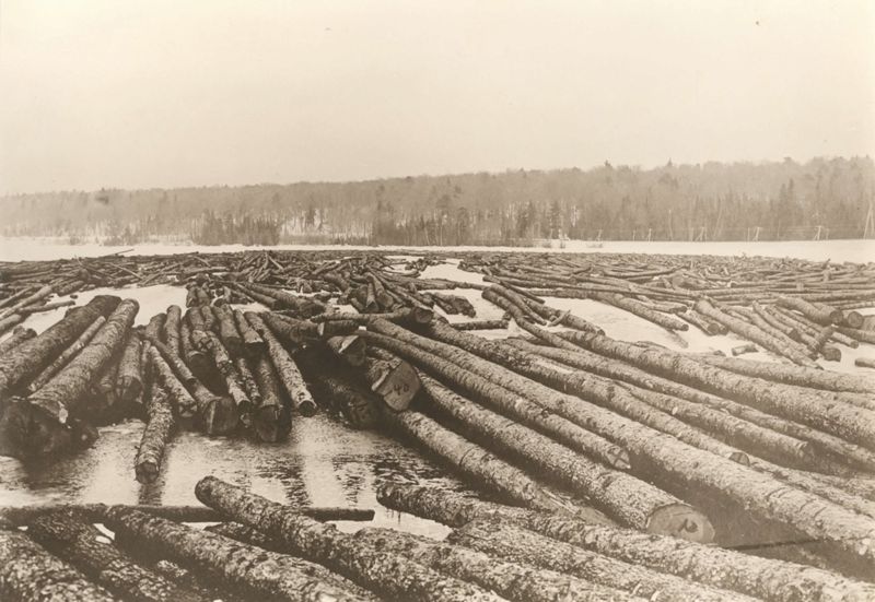 The Underwater Lumberman Photographs