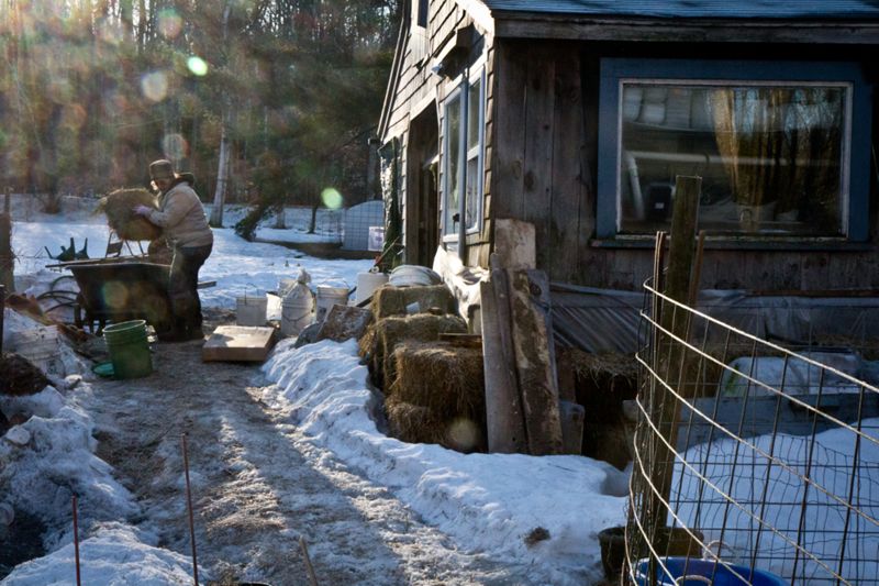 Herds, Curds, & Whey