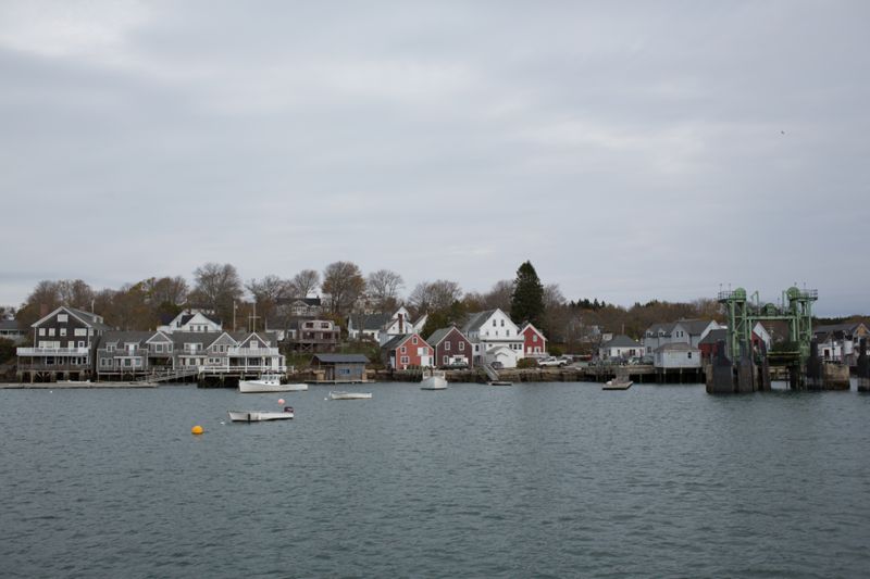 The Fish or Cut Bait Moment Photographs