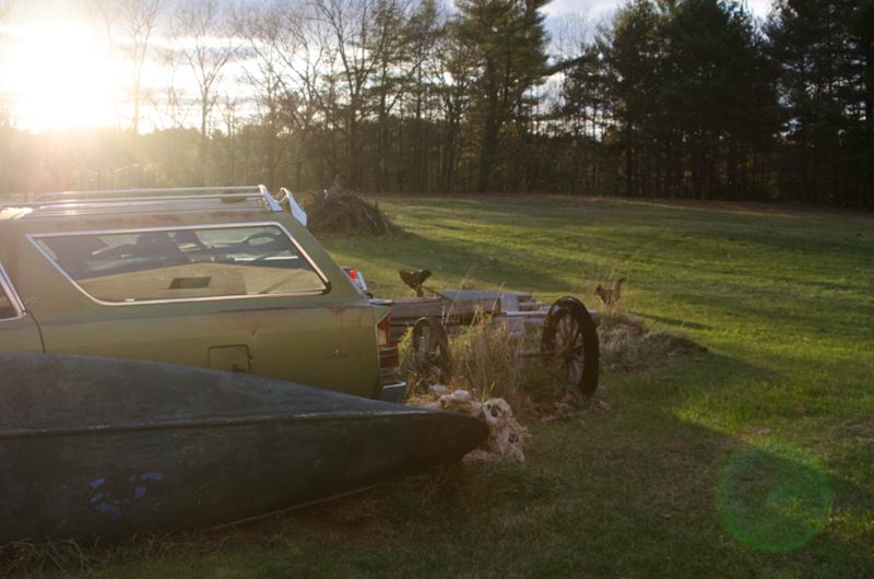 Second Chance Photographs