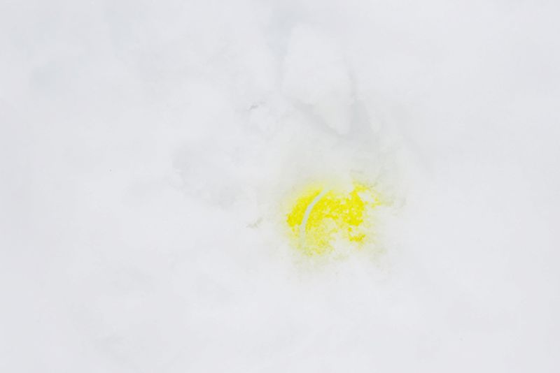 In Defense of Vacationland