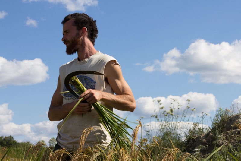 Not Just a Test: An Experiment in Subsistance Farming