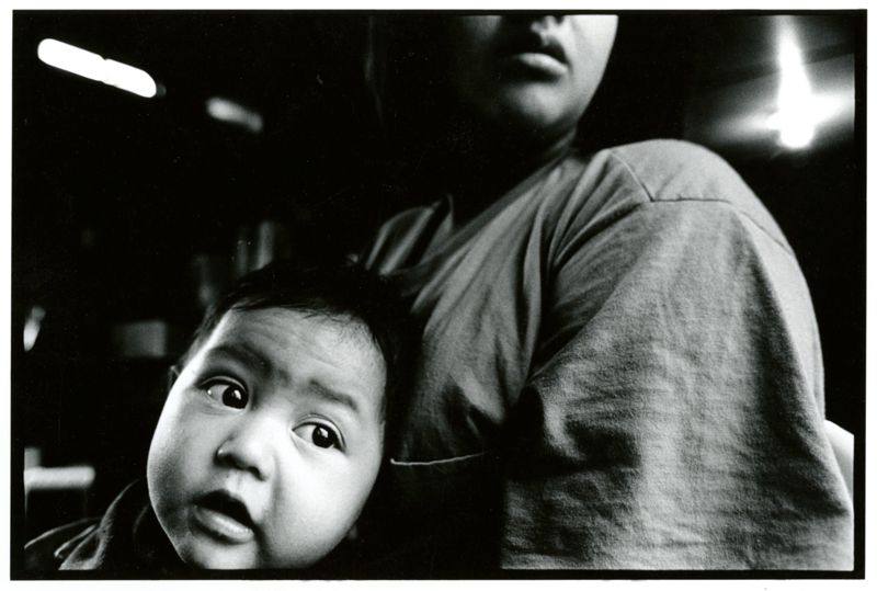 Making a Home in Maine: Broccoli Harvest