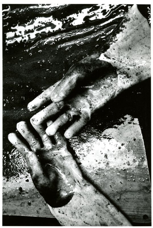 Urchin Processing Plant Photographs