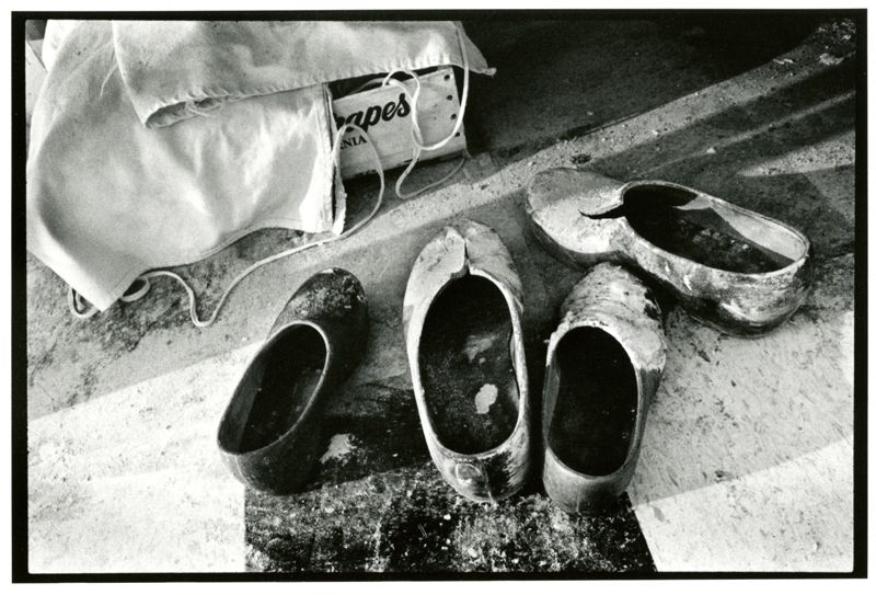 Black Crow Bakery Photographs