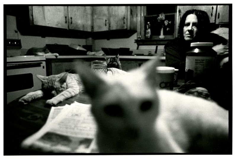 Transgender/Crossdresser