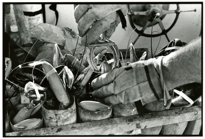 Lobstermen at Union & Widgery Wharf