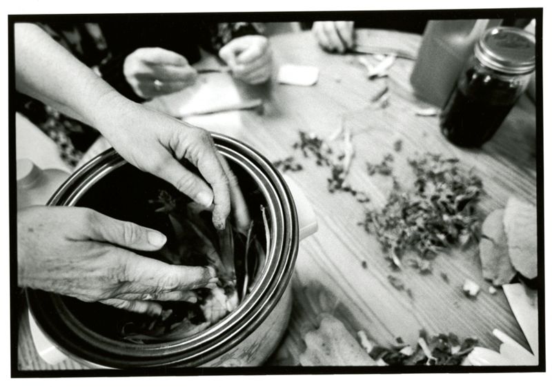 Herbalism in Maine - In Our Backyards