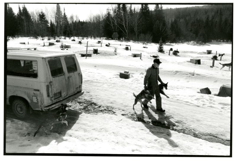Can-Am Dog Sledding