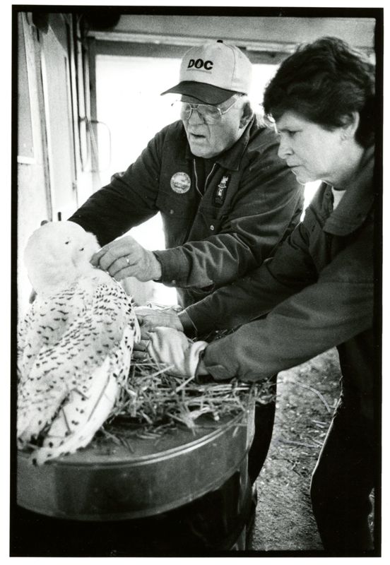 A.E. Howell Wildlife Conservation Center and Spruce Acres Refuge, North Amity, ME