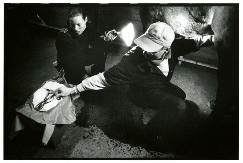 Dr. Tom Judd - Large Animal Vet