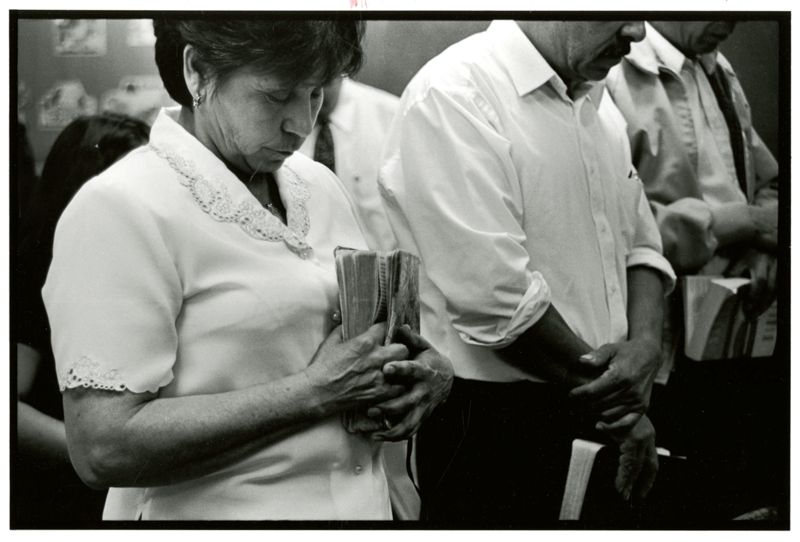 Feathers and Faith: Immigrant Labor