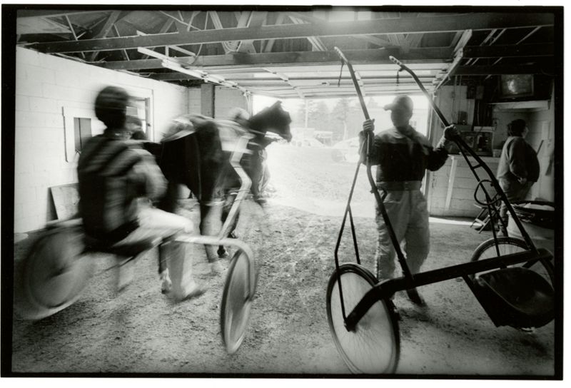 Harness Racing at Scarborough Downs, Alison MacDonald Farms, Scarborough, ME