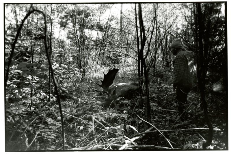 Tracking Down the Spirit Photographs