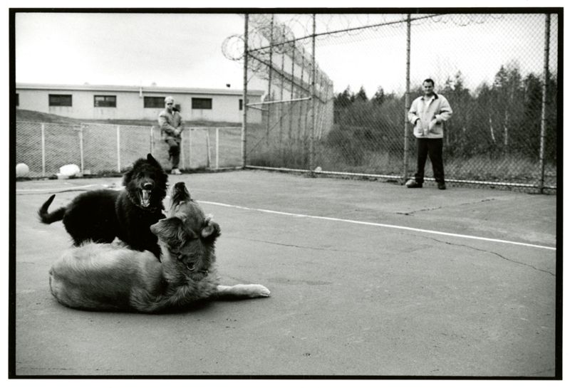 Good Boy - Prison Pups Program
