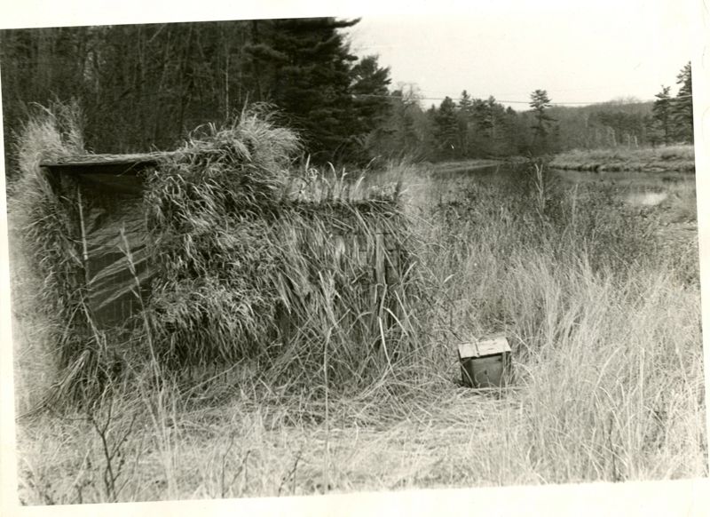 How to Make a Duck Blind Photographs