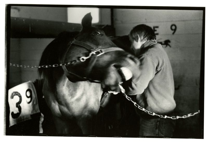 John Beckwith, Horseman