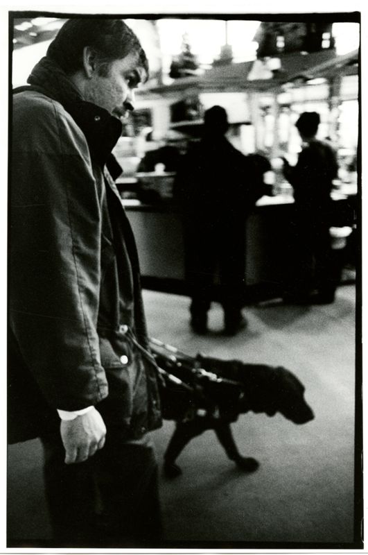 The Way it Looks From Here Photographs