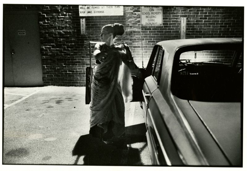 The Pink Gypsy - A Belly Dancer