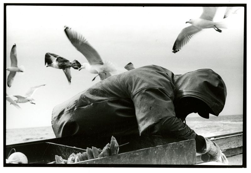 If You're Not at the Table...You're on the Menu Photographs