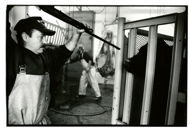 West Gardiner Beef, the Family Slaughterhouse