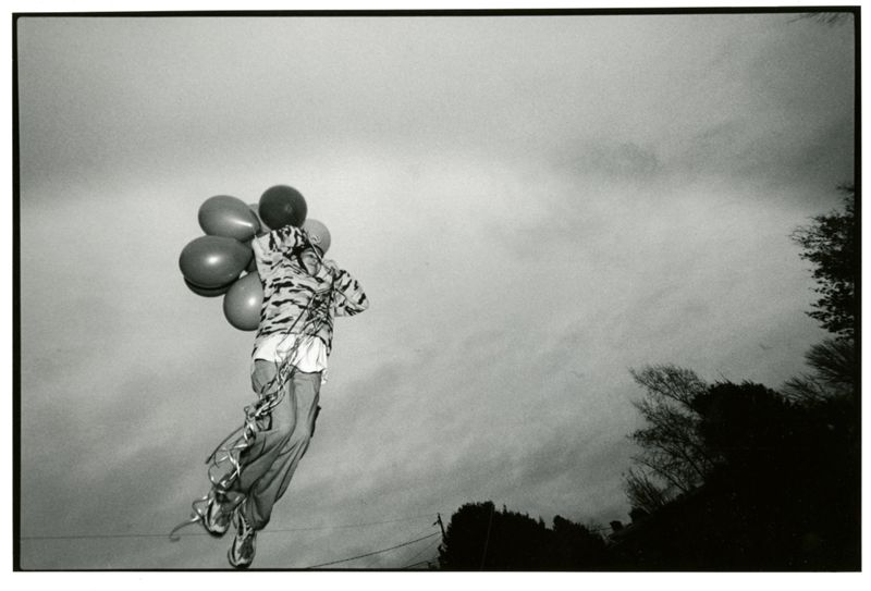 Sarah's Dream Photographs