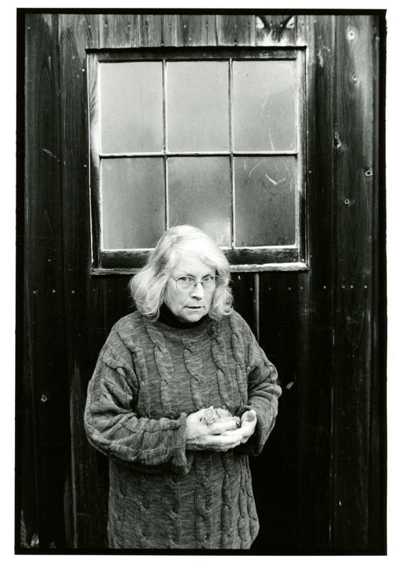 The Lady from Next Door