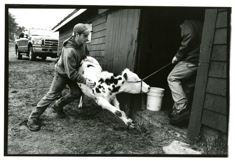 365 Days a Year, 7 Days a Week