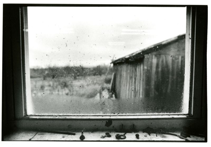 Married to an Orchard Photographs