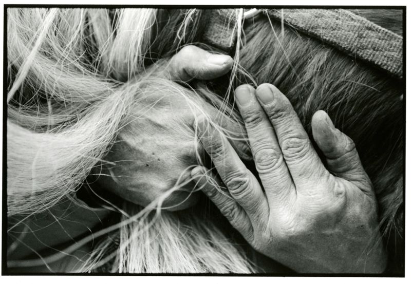 The Outside of a Horse is Good for the Inside