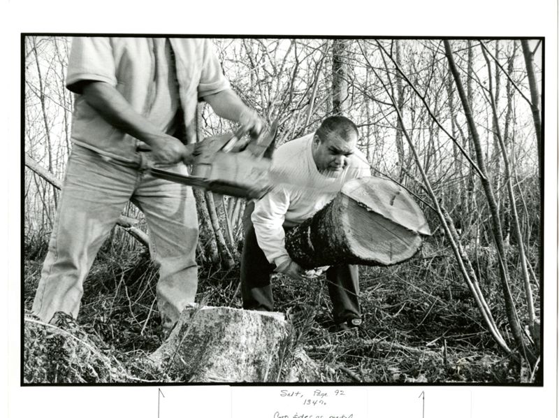 Brown Ash Photographs