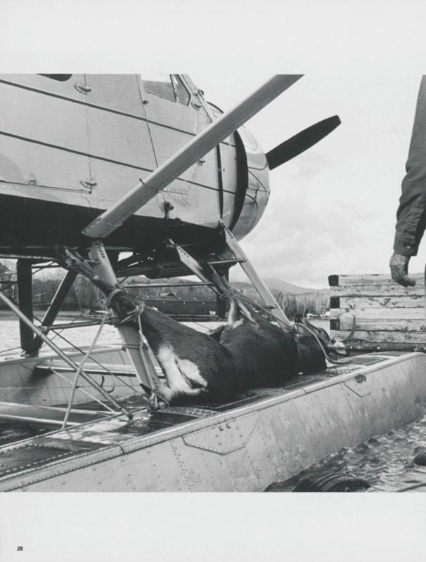 Bush Piloting in Maine