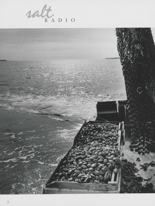 Salt Radio: Smells Like Money