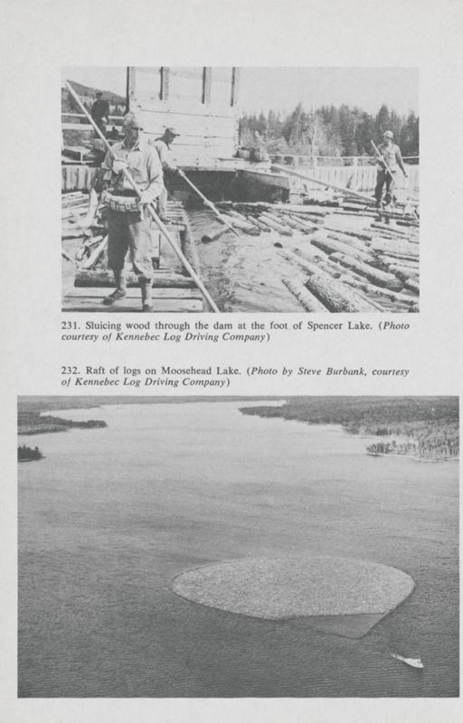 River Driving: Herding Logs