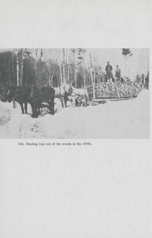 River Driving: Logging in the Winter