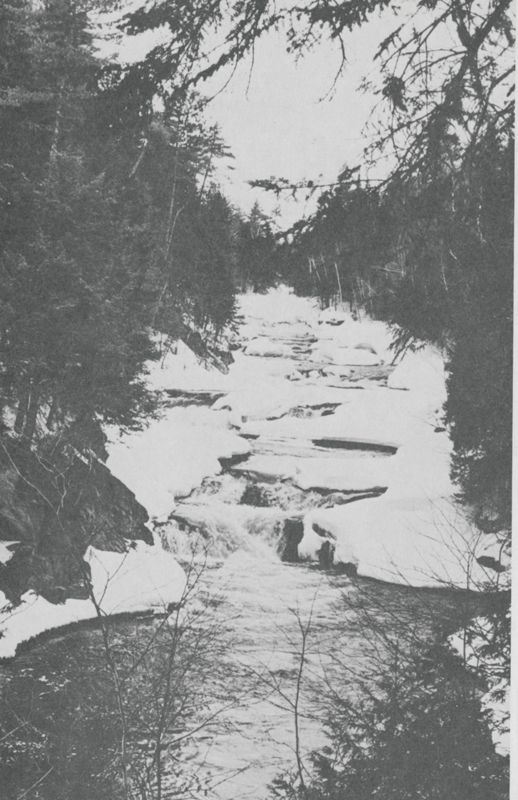 River Driving: The Lure of the Drive