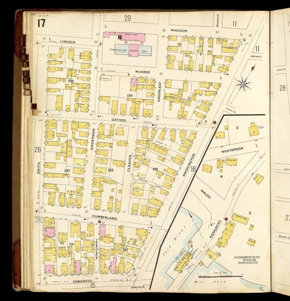 [Plate 17.]