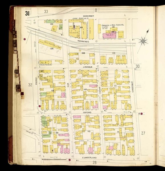 [Plate 31.]