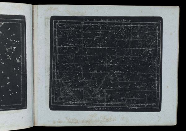 Einhorn, Grosser U. Kleiner Hund.  25.