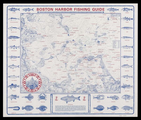 Boston Harbor Fishing Guide