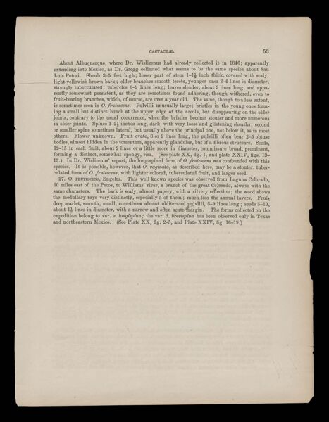 Reports of Explorations and Surveys, to ascertain the most practicable and economical route for a railroad from the Mississippi River to the Pacific Ocean. Made under the direction of the Secretary of War, in 1853-[6] . Vol. 4