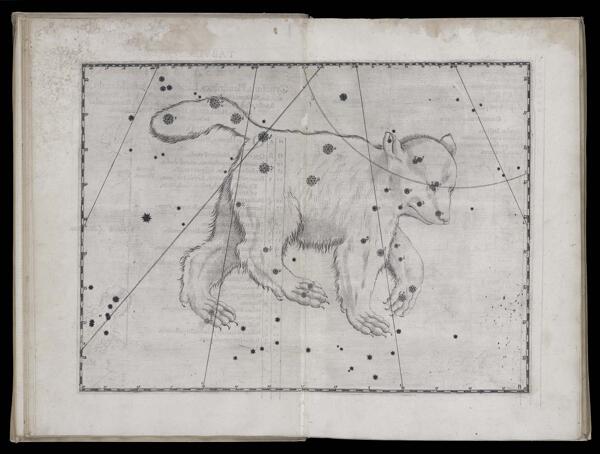 Tabula secunda. Ursa Major.